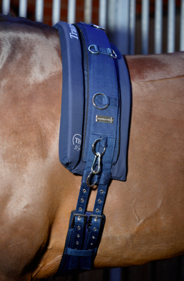 Lunging belt by Trans Horse Sport