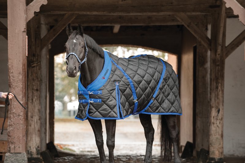 Stable Rug by Catago