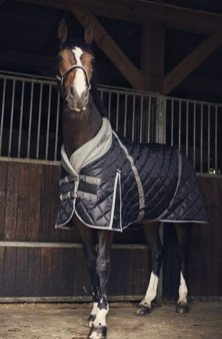 Stable Rug 100 by Catago