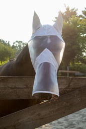 Full Face Fly Mask with Nose Extension by BEFIX